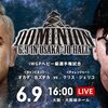 6.9　新日本プロレス　Dominion　ツイート解析