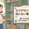 エリゲロンの苗が店にない理由は？購入できる時期や育て方を解説！