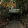 応夢山　定光寺の紅葉　その３