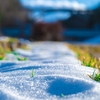 息子が残雪で滑って転んで気づいたこと