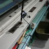 数釣りサイコー‼　伊勢湾タチウオテンヤ　大進丸釣行会