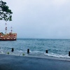 【雨の箱根】雨でも愛犬と楽しめる♪成川美術館、箱根園水族館、箱根唐揚げKARATTO、箱根の湯、犬と宿泊できるホテル旅館