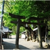 延喜式内・玉祖神社写真館（１０/１３）