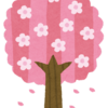 桜が好きです！