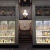 Hunterian Museum