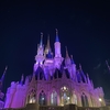 ディズニーアトラクションを侮るなかれ