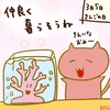 占ってみた20250305