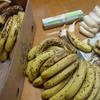 ￥108で、食べきれるかどうか分からないバナナ１箱（約60本）を買ってしまいました･･･。