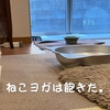雨田甘夏、お膝抱っこです。【猫と軽量と腰痛事情】