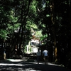 大神神社写真館(６/２５)