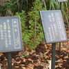 万葉歌碑を訪ねて（その１９１７～１９１９）―松山市御幸町　護国神社・万葉苑（８２，８３，８４）―万葉集　巻十四　三三七六、巻十　二二七〇、巻十六　三八二五