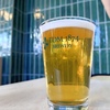 TDM 1874 - 2nd Batch IPA
