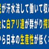 自公政権の悪政で日本は生産性がゼロからマイナスになった