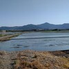 浦中蓮花石海岸から内陸へ。水をはった