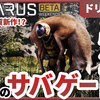 惑星サバゲー「ICARUS」活動休止のお知らせ