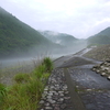 雨上がりのトンボ