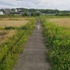 初めての公園「学びの森」でちくわとお散歩。