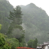 雨に濡れる室生寺