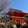 京都上賀茂神社は凛とした空気が漂う神聖な場所です。(Kyoto, kamigamojinjya)