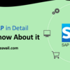 What Is SAP In Detail | You Must Know About It