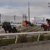 十勝帯広ばんえい競馬観戦旅行記【福岡から新千歳空港へ】