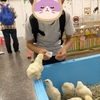 小学生の夏🍉