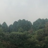 今朝の景色