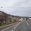 咲いた　咲いた　桜が咲いた！・・・が