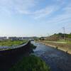 医学に所縁の樹木めぐり