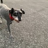 ふくすけ特集だよ