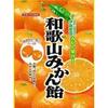 コロナ対応が絶賛された「和歌山県」知事の最新メッセージ