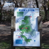 桜ヶ丘公園周辺の桜を撮ってきた。