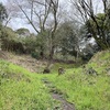 水口岡山城 (滋賀県甲賀市) 2/2-豊臣政権の甲賀支配の拠点　山頂部から大手道へ