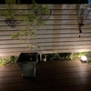 【簡単・おしゃれ】庭のウッドデッキにローボルト（12V）ガーデンライトをつけてみました