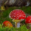体の「重さ」は変わらずとも「質」は変わり…