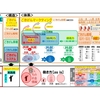 「感謝と貢献」第８４７日