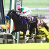 競馬初心者必見☆馬券予想🔥〜菊花賞〜クラシック最終戦！名手とのコンビで栄冠を！