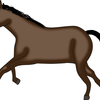 【毎日王冠 2024 予想】追い切り･ラップ適性･レース傾向考察 ＆ 各馬評価まとめ / 切り口重要戦