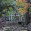 石馬寺の秋その１