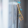 カマキリを追いかけて5分！息子の笑顔のためにパパは戦った