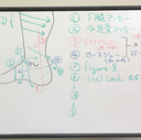 機能訓練指導員の柔道整復師