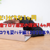 【サボりがちな1ヶ月】初心者ブログ運営の現実14ヶ月経過｜ブログも夏バテ編（2020年9月号）