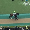 東京競馬10R ウェルカムステークス パドック直前予想 ◎6 メートルダール