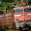 2024/06/18 8056レ EF81 406号機