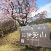お伊勢山登山！桜の開花と花吹山、大月駅登山ルート詳細！