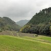 曇りのち小雨 亀岡 往復