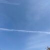 桜　さくら　さくら