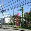 ツタが巻き付いた電柱