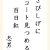 さびしげにコート見つめる百日紅