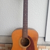 TAKEHARU GUITAR WT-130